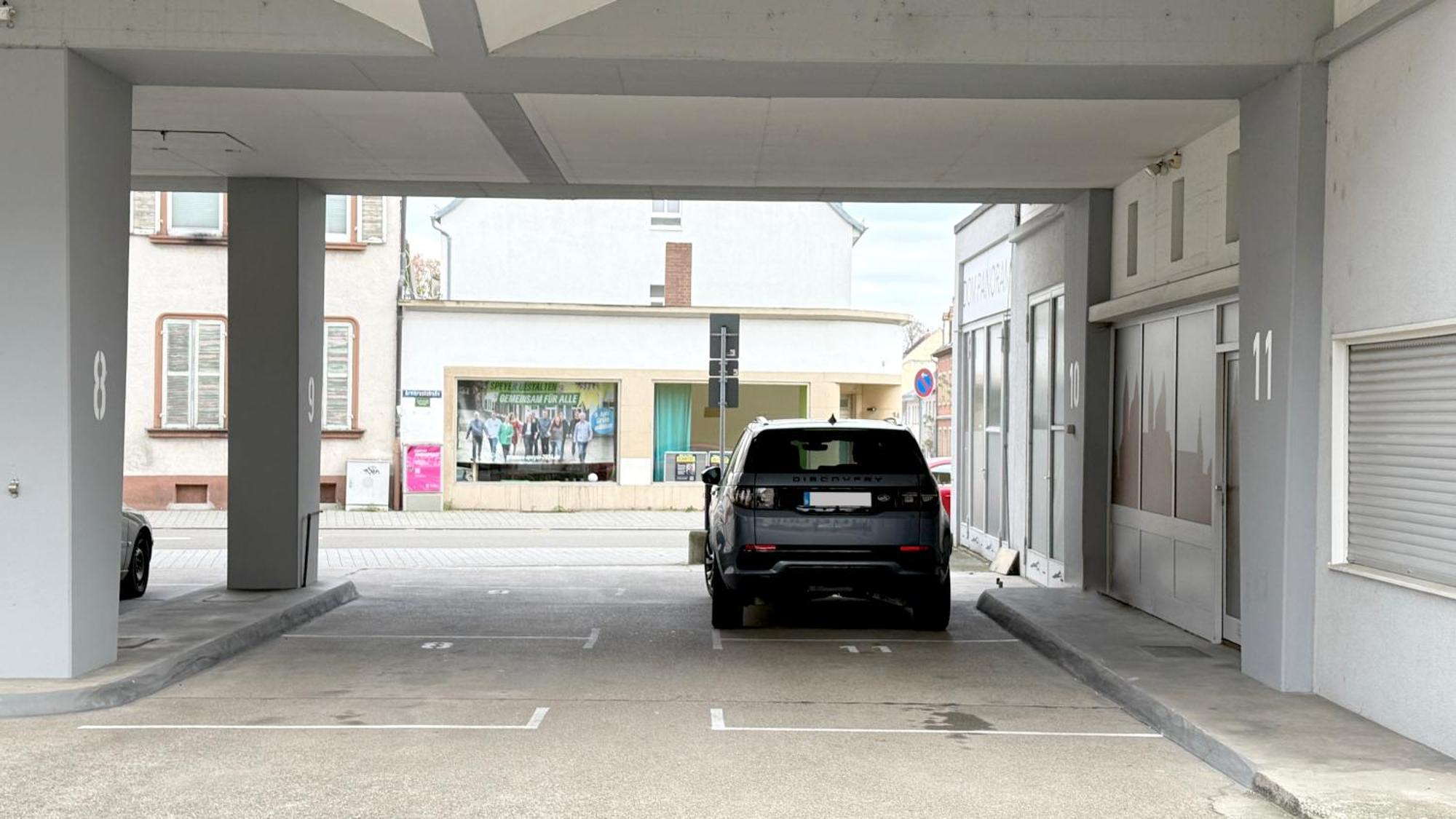 Dompanorama Der Kleine Dschungel Apartment Fuer 2-4 Pers Speyer Exteriör bild
