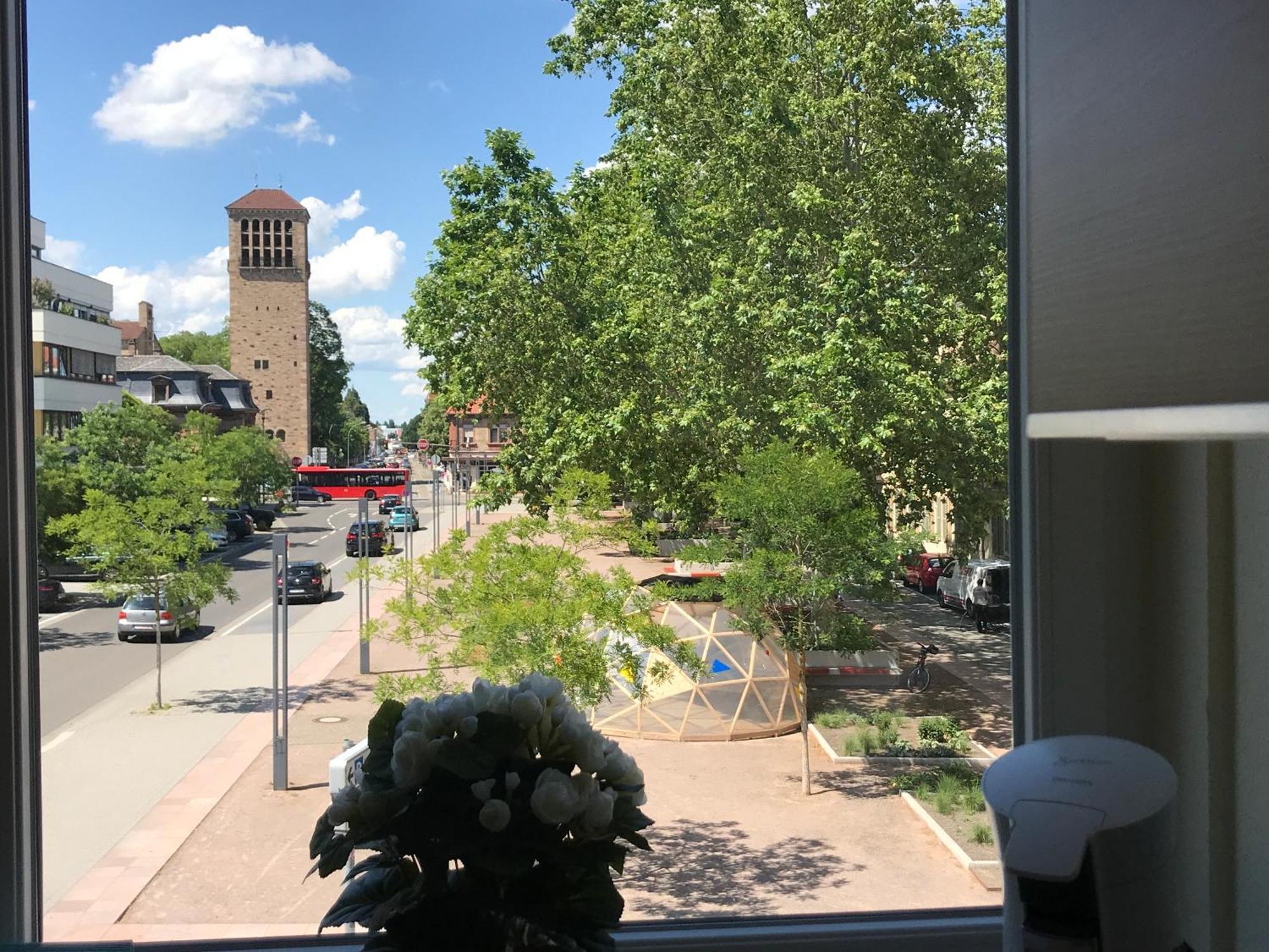 Dompanorama Der Kleine Dschungel Apartment Fuer 2-4 Pers Speyer Exteriör bild